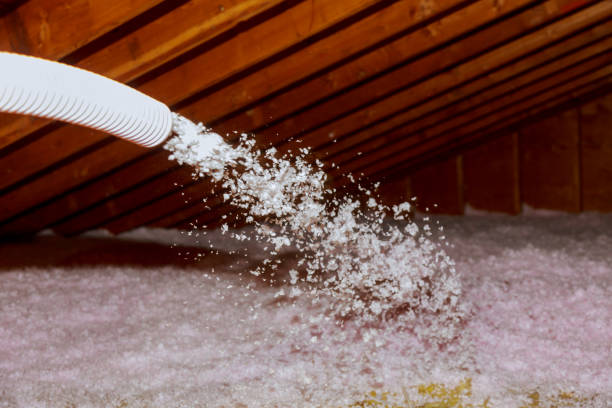 Insulation Contractors for Homes in Mirrormont, WA