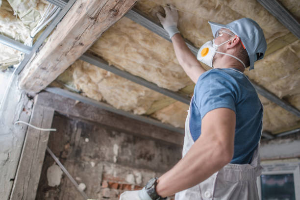 Best Spray Foam Insulation  in Mirrormont, WA
