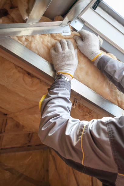 Insulation Replacement Services in Mirrormont, WA