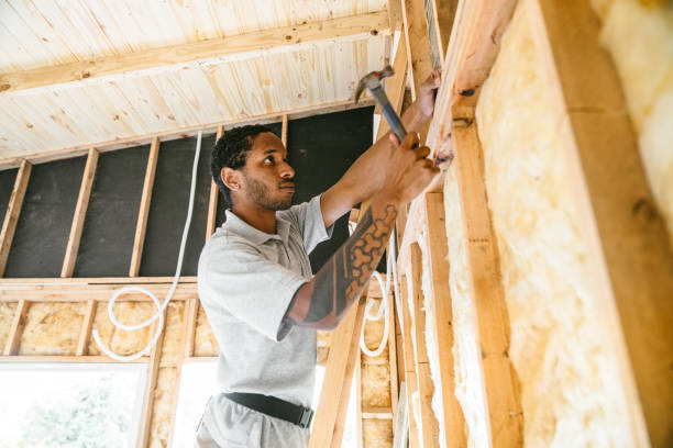 Best Best Insulation Companies  in Mirrormont, WA