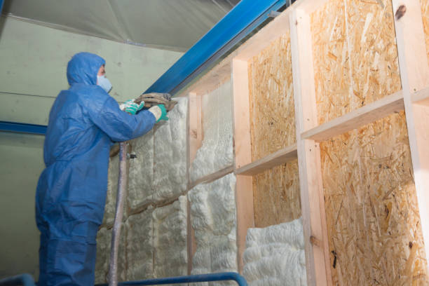Garage Insulation Installation in Mirrormont, WA