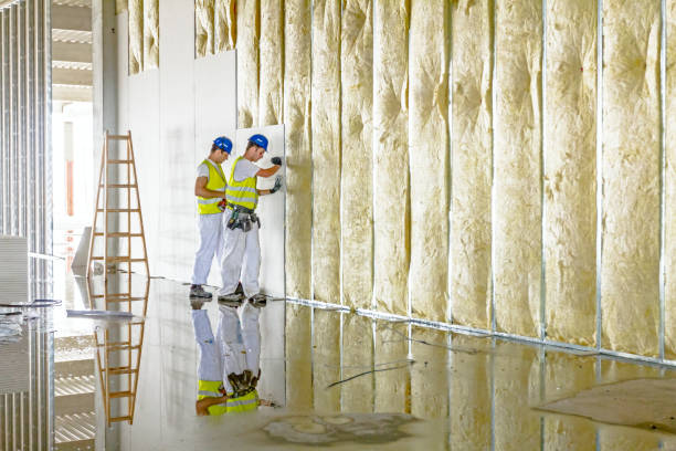 Best Insulation Replacement Services  in Mirrormont, WA